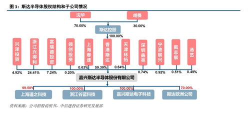 斯達半導 IGBT模塊國內領先廠商，有望受益于國產替代與行業增長